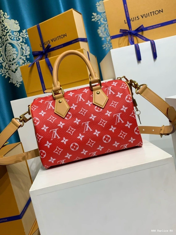 Aaa replica bags Bandoulière P9  VUITTON 25 LOUIS Speedy 0813